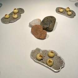 Bildnamen oder Thema