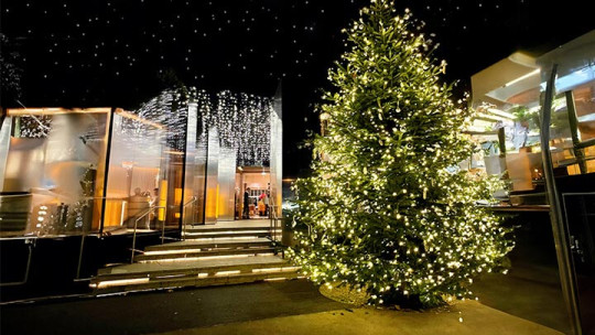 YouDinner besucht Wiens kulinarische Highlights